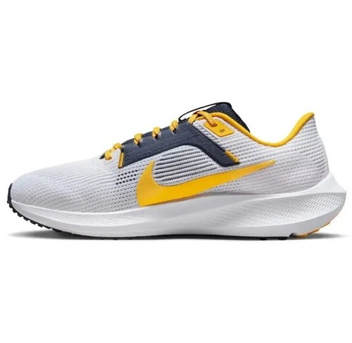 michigan nike pegasus